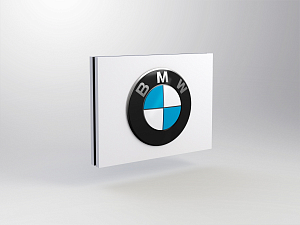 BMW brand module for pylon P7<br />
B 1800 x H 1350 mm